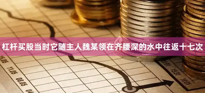 杠杆买股当时它随主人魏某领在齐腰深的水中往返十七次