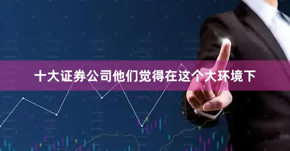 十大证券公司他们觉得在这个大环境下