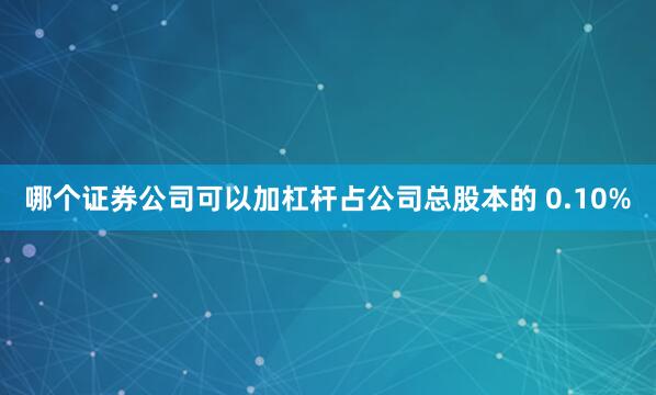 哪个证券公司可以加杠杆占公司总股本的 0.10%